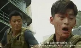 陈惠敏爆料拿枪打仗视频,揭秘幕后真相